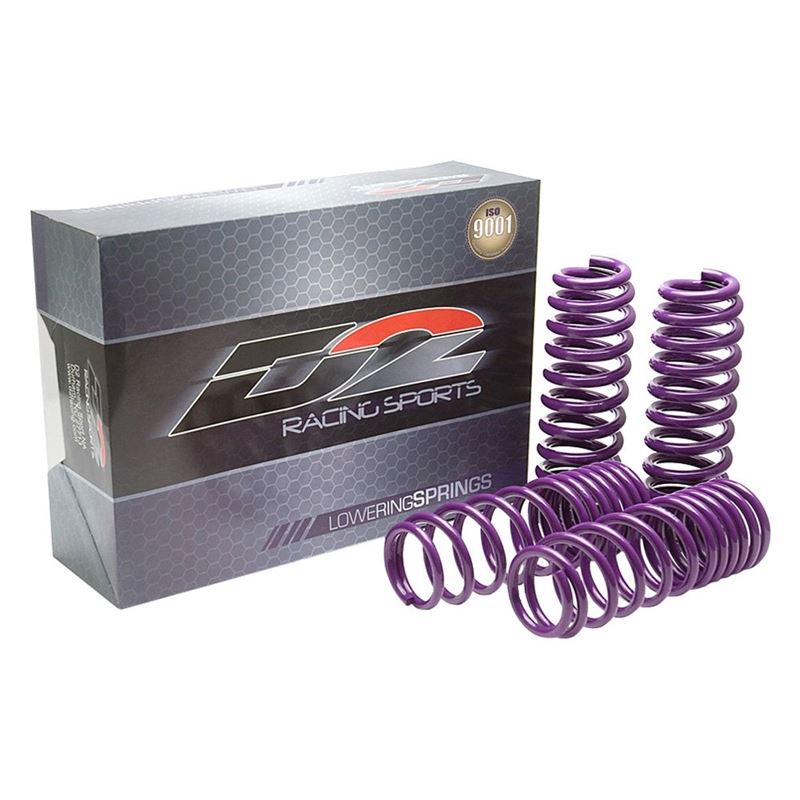 D2 Racing PRO Lowering Springs For 88-91 Honda Civic 90-93 Acura Integra FWD (D-SP-HN-13)