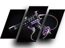 Load image into Gallery viewer, D2 Racing SPEC Coilovers For 09+ Nissan GTR (D-NI-46-SPEC)